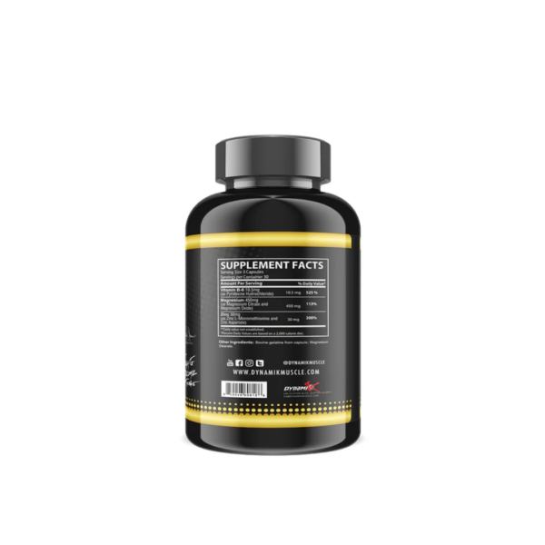 DYNAMIK ZMA - Image 2