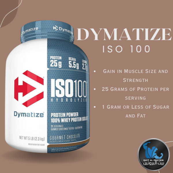 DYMATIZE ISO 100 5LB GOURMET CHOCOLATE