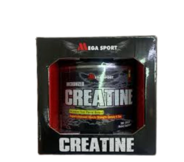 MEGA SPORT CREATINE